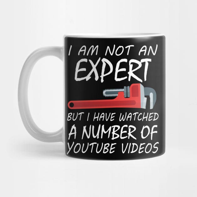 I Am Not An Expert But I Have Watched A Number Of Youtube Video by Tee-hub